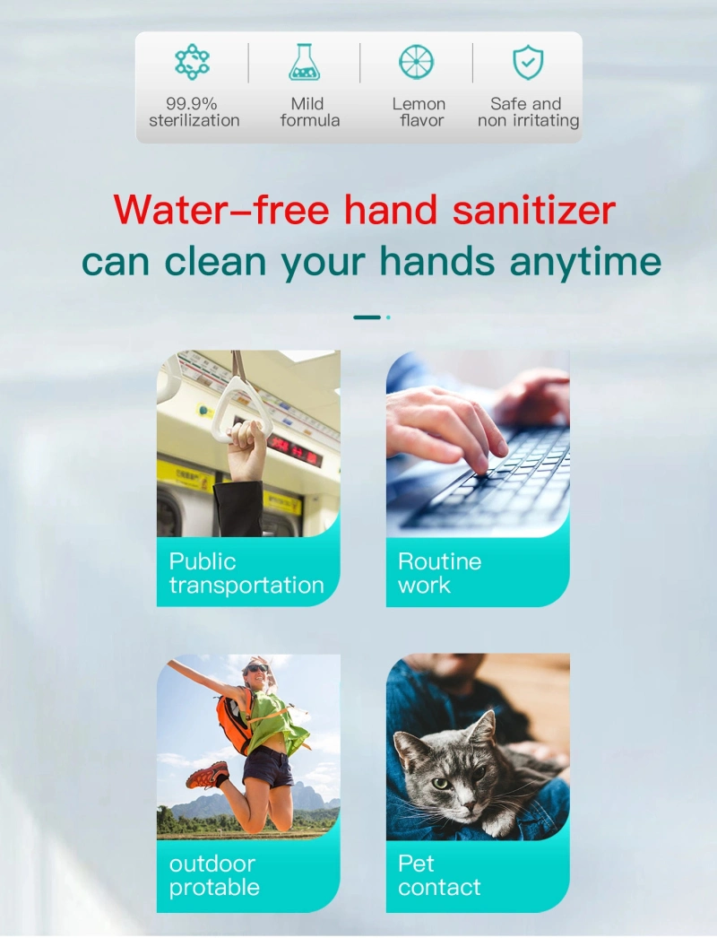 Hot Selling Wholesale Private Label Factory Customized Hand Wash Free Waterless 75% Alcohol Hand Sanitizer 300ml