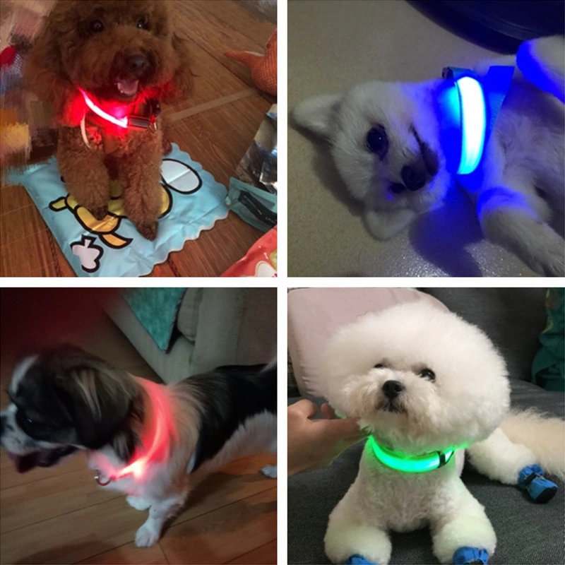 Pet Supplies USB Rechargeable Pet Dog LED Glowing Collar Pet Luminous Flashing Necklace Outdoor Walking Dog Night Safety Collar