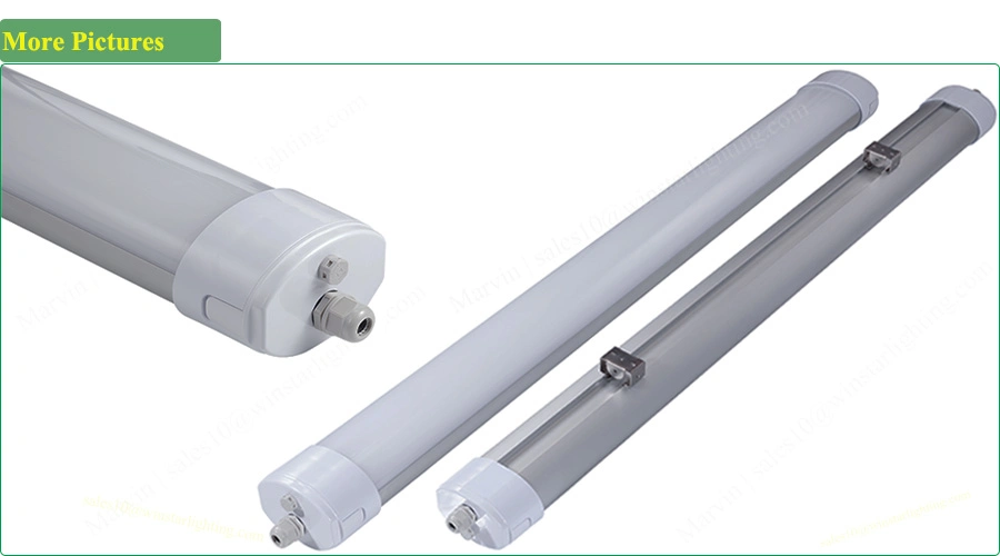 High Power LED Outdoor Light, 4FT 100W Lighting Fixture, LED Tri Proof Light, LED Linear Light