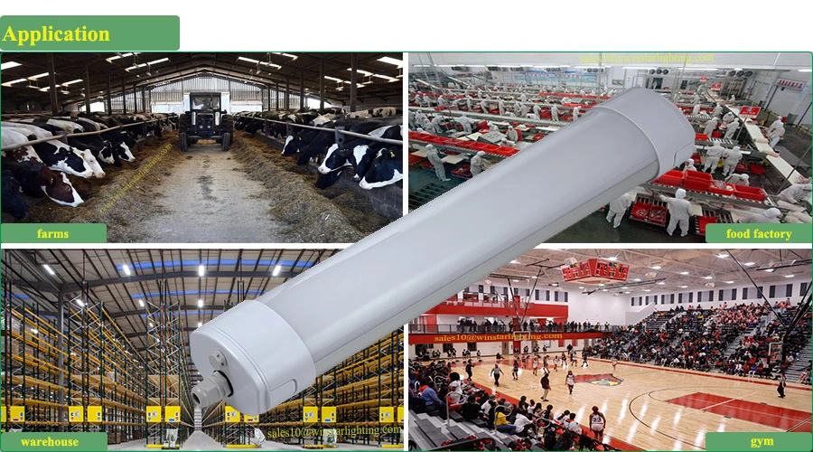 High Power LED Emergency Light, 4FT 100W Lighting Fixture, LED Tri Proof Light, LED Linear Light