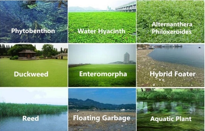 River Cleaning Skimmer Small Aquatic Weed/Water Hyacinth/Enteromorpha /Duck Weed / Reed Harvester Sale Water Hyacinth Harvester