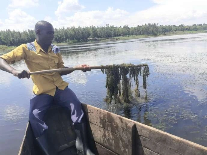 River Cleaning Skimmer Small Aquatic Weed/Water Hyacinth/Enteromorpha /Duck Weed / Reed Harvester Sale Water Hyacinth Harvester