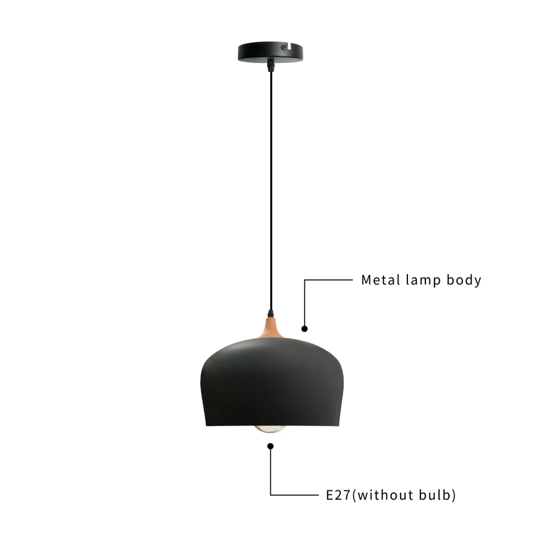 How Bright Decorative Aluminum Black Color Pendant Light Ceiling Light