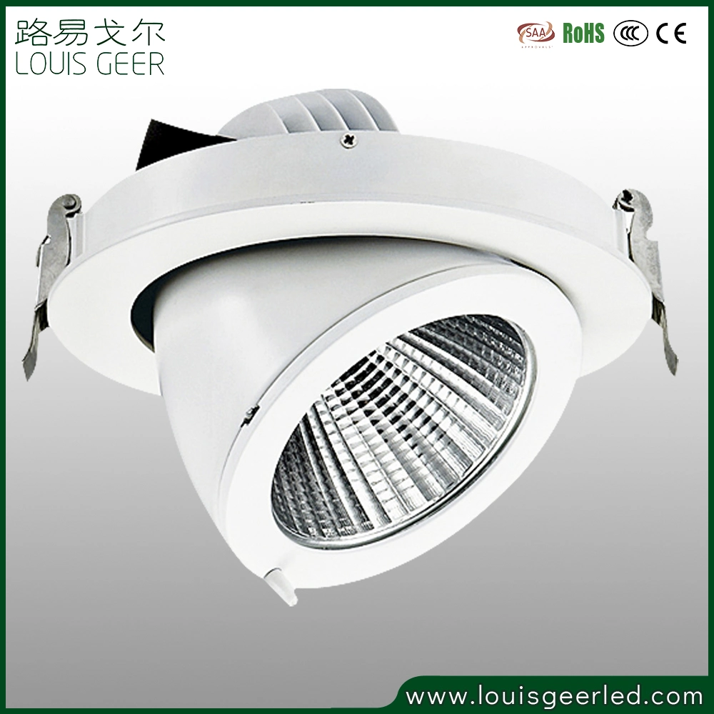 Factory Flush Mount 30W LED Bulb COB LED Ceiling Lights Spot LED Light