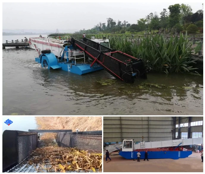 Rubbish Salvage Boat Trash Skimmer Hunter Amphibitious Weed Harvester Reed Harvester Crushing Ship Water Hyacinth Crushing Ship Water Hyacinth Harvester