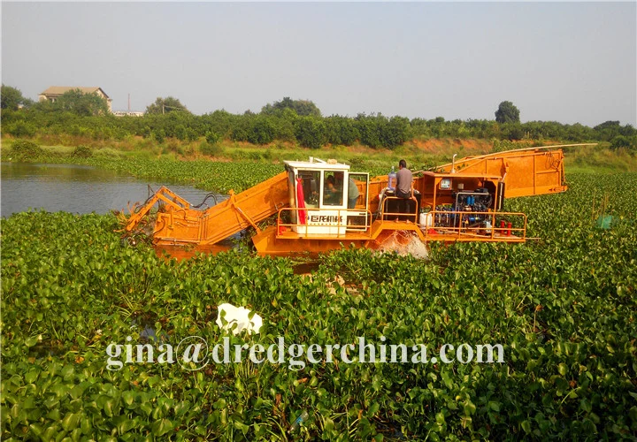 High Efficiency Water Hyacinth Harvester for Cleaning Water