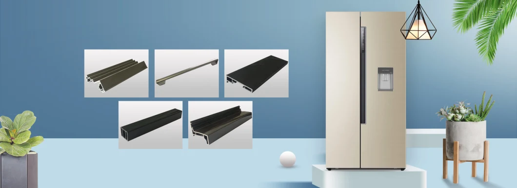 Rigid and Flexible Injection Molded Parts for Each Kind of Refrigerator