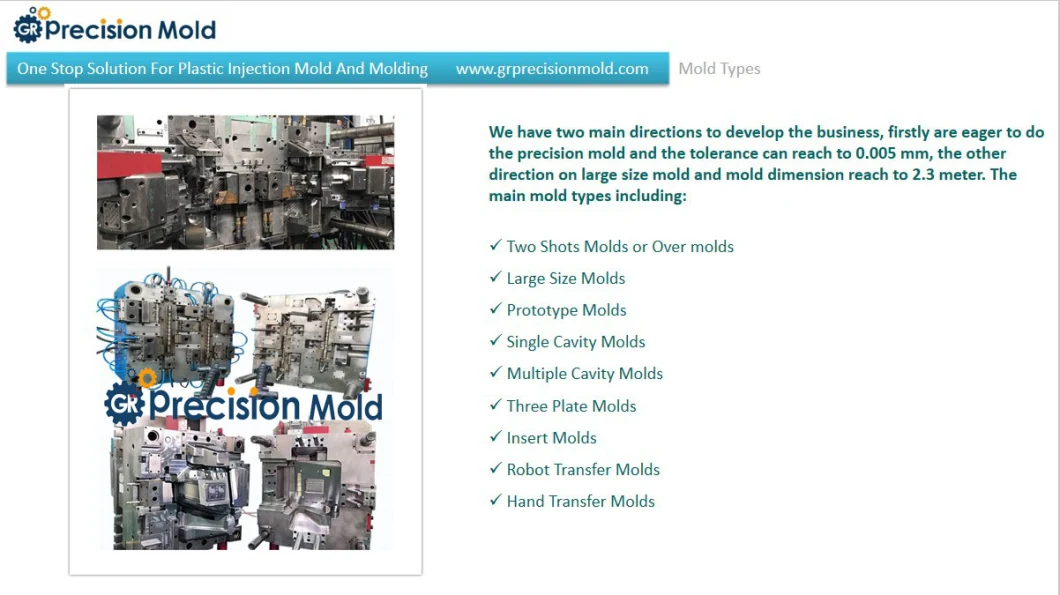 Plastic Injection Mold Factory China China / High Quality Mold Maker/Dme/Lkm Standard