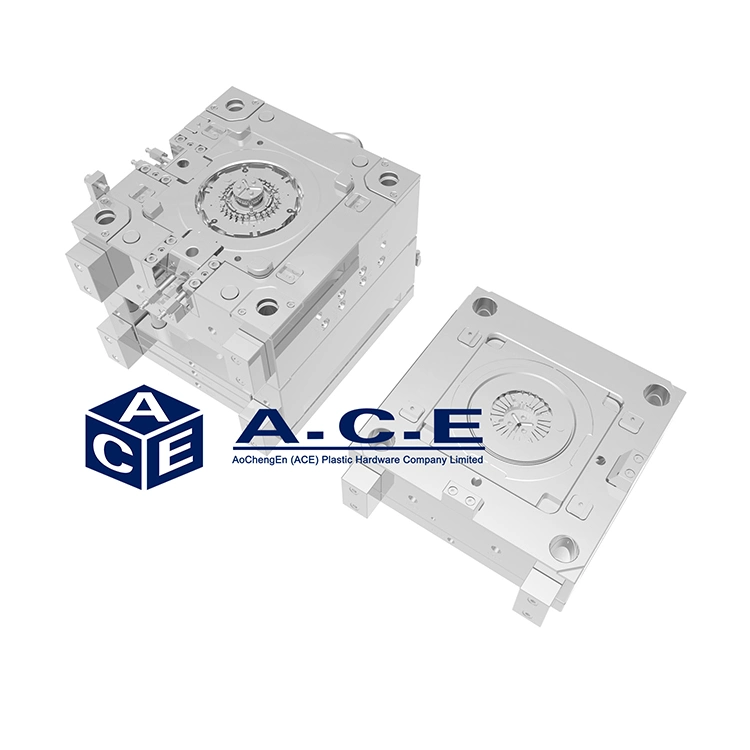 Custom Production China Injection Mold