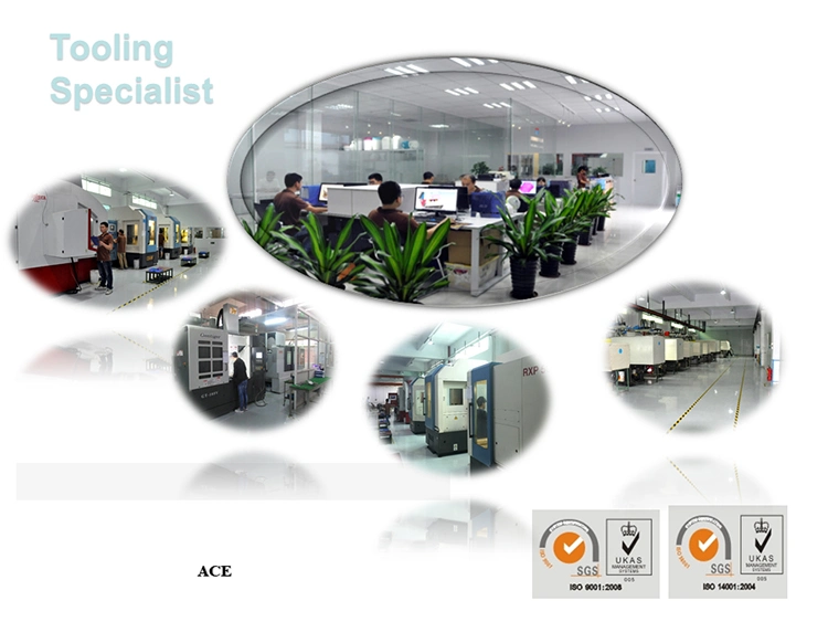 China Ace Moulding Factory Supply Injection Molded Plastic Products