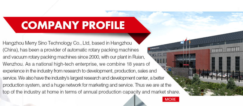 Big Bags High Speed Rotary Packing Machine for Premade Bags