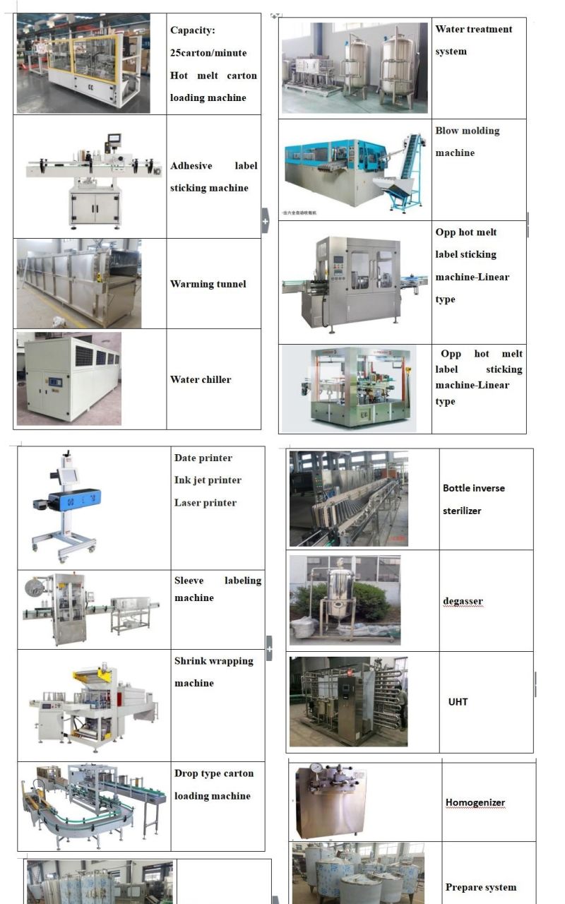 Automatic Bottled Water Liquid Rinsing Filling Sealing Packaging Bottling Plant