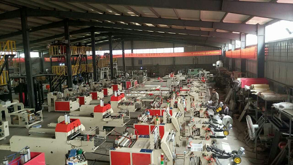 CH-St-Pk2 Automatic Carrier Bag Making Machine