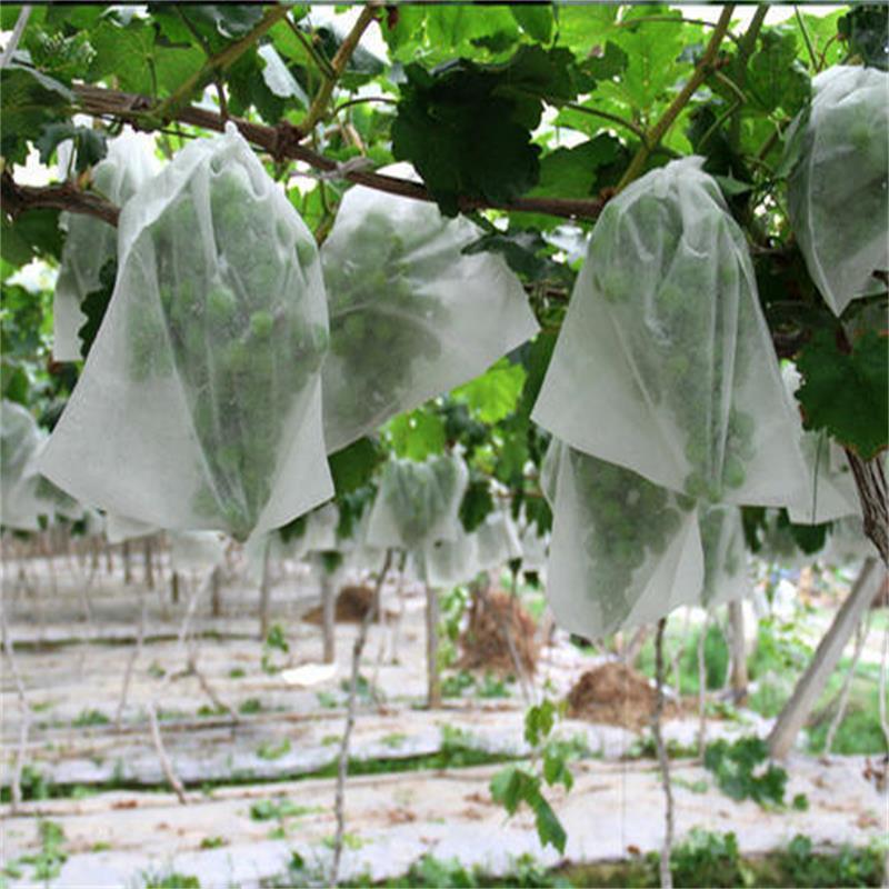 PP Spunbond Nonwoven Fabric for Fruit Protect Bags