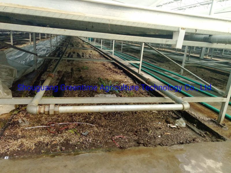 Mesh Rolling Bench System for Agricultural Planting Nursery