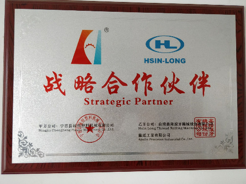 CH-St-Pk2 Automatic Carrier Bag Making Machine