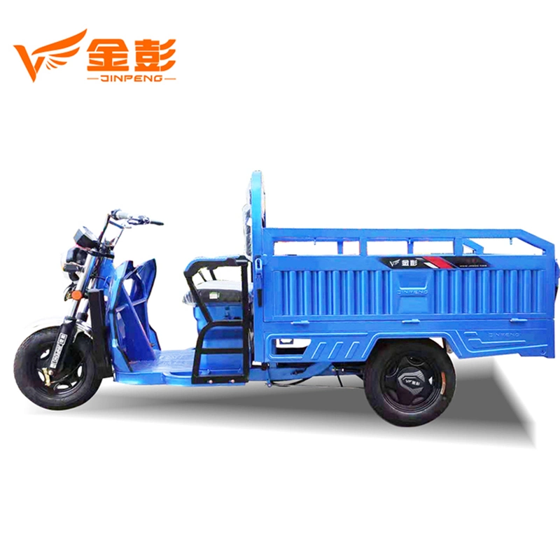 Bigger Power 1800W Electric Tricycle with Rear Cargo