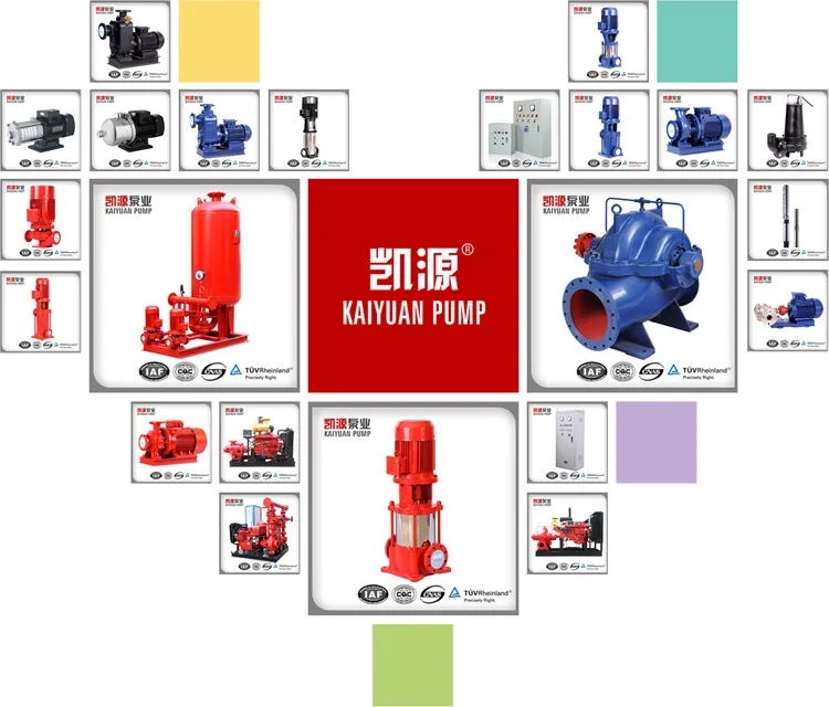 Single Stage Double Suction Centrifugal Electric Water Pump