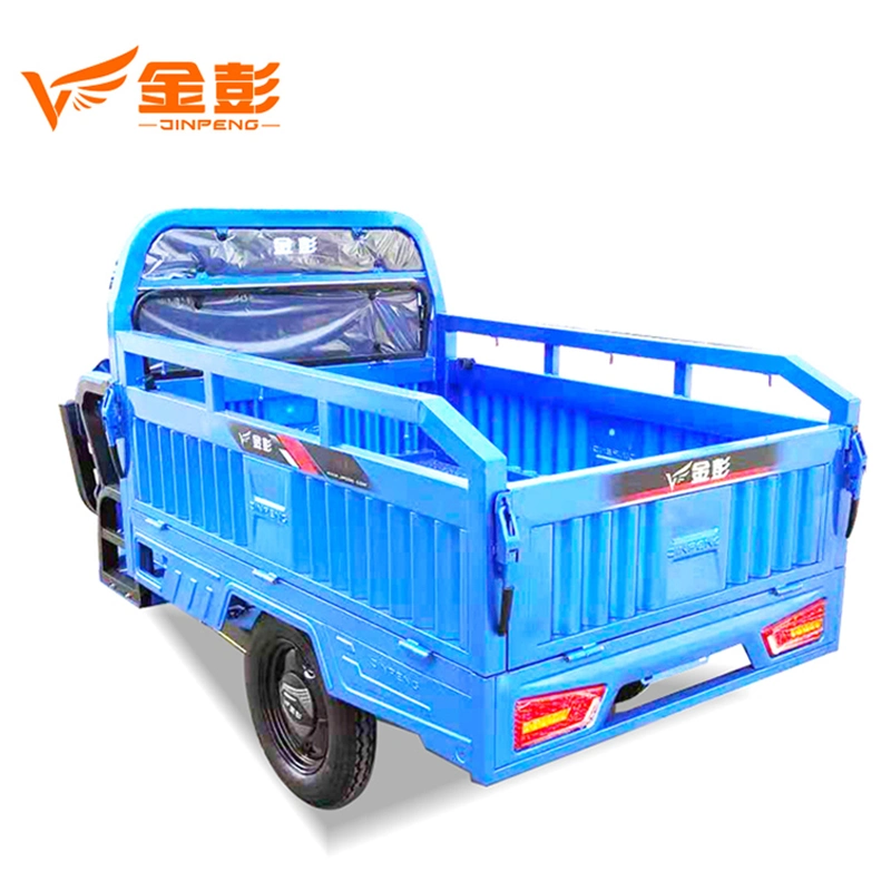 Bigger Power 1800W Electric Tricycle with Rear Cargo