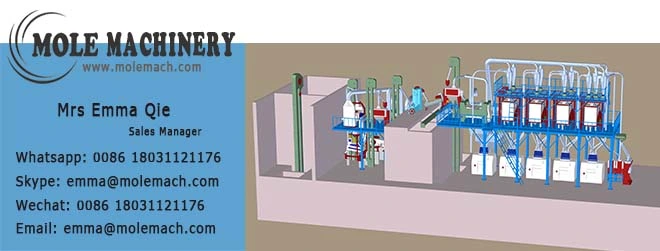 Automatic Candy Counting Packing Machine/Candy Cube Counter Filler Machine