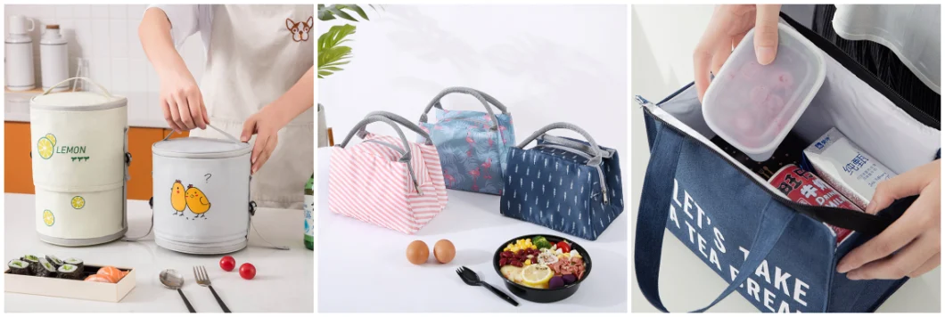 Folding Outdoor Travel Insulated Bento Box Cooler Lunch Bag