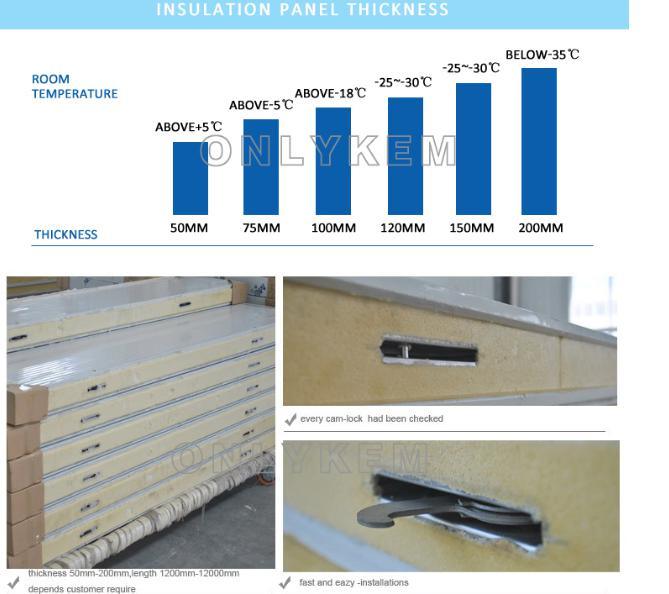 Cold Storage Project, Cold Room Freezer for Fish