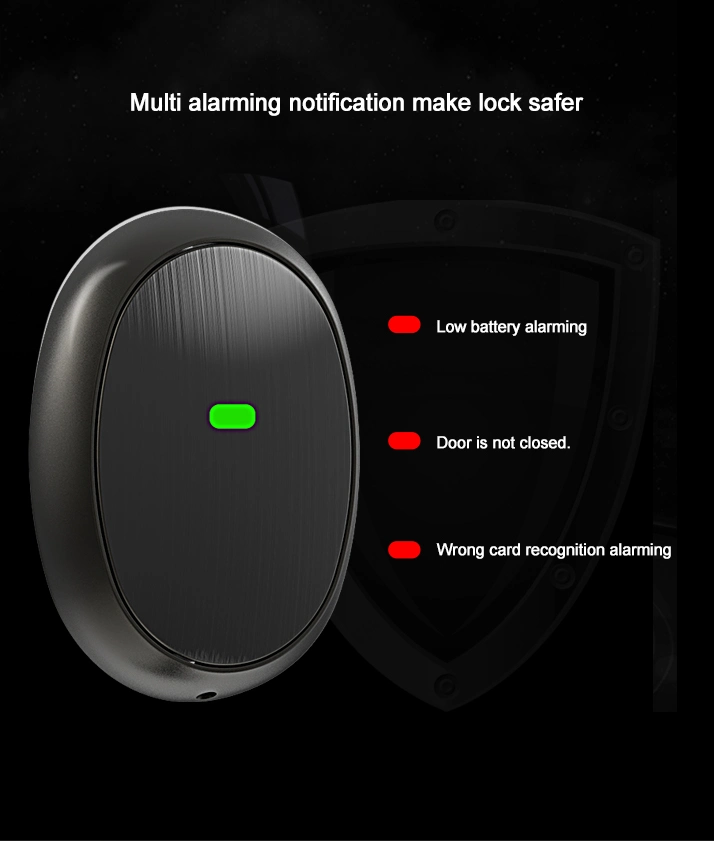 Safe Smart Security Digital Keyless Card Alarm Aluminum Alloy Door Handle Locks