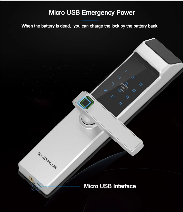 Wireless Electronic Fingerprint WiFi Door Lock with Tuya Smart Life APP Remote Control Lock