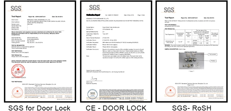 Door Locks Hardware Zinc Alloy Aluminum Alloy Stainless Steel Pull Door Split Type Lever Handle