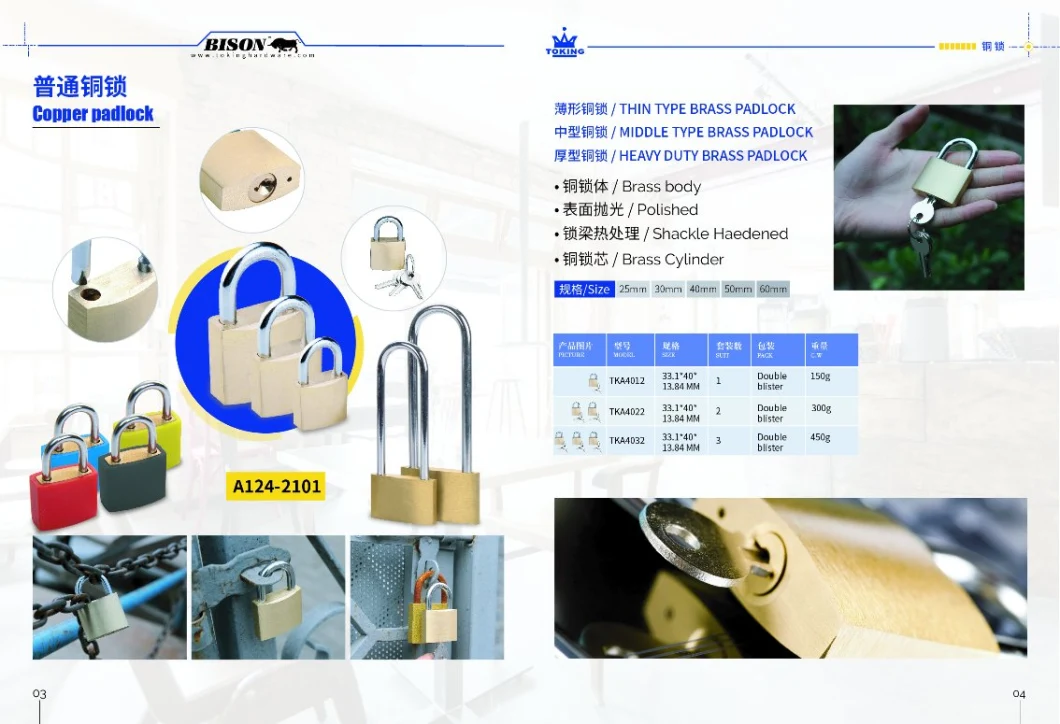 Security Door Padlock Tsa Safe Brass Cylinder Door Lock (ZA115)