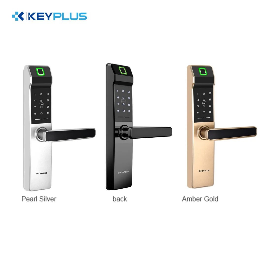 Fingerprint Keyless for Home Finger WiFi Digital Lock Remote Control Tuya Tt Smart Lock Door