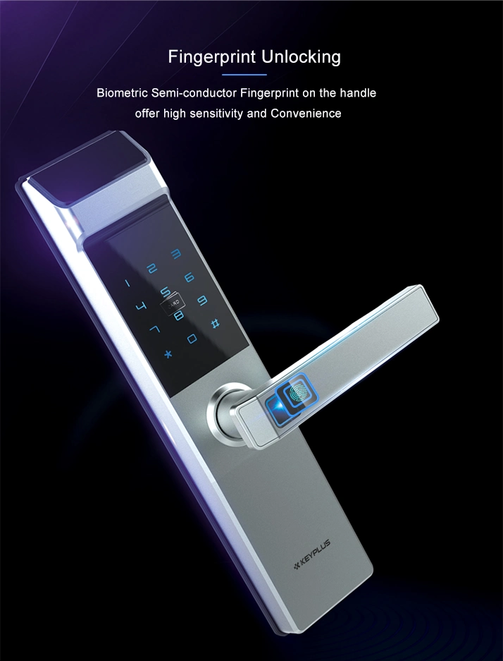 Tuya Tt Lock APP RFID MIFARE Card Security Electronic Smart Door Lock for Business Building