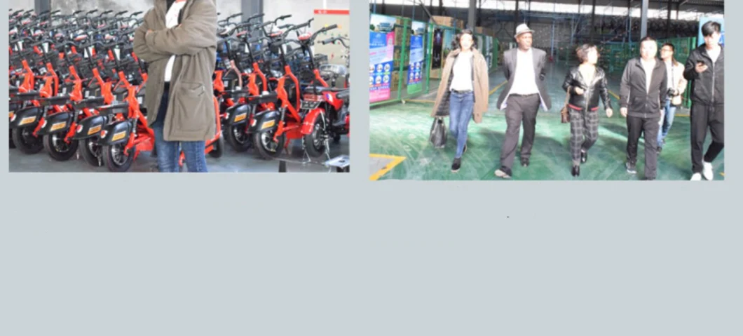 Easy to Operate Handbrake Foot Brake Tricycle for Disabled