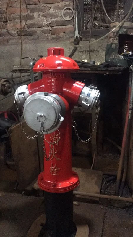 Outdoor Underground/Ground Fire Hydrant for Fire Protection