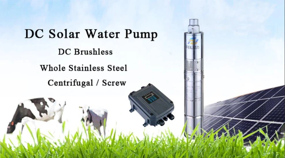 Lebekan Hot Selling DC Borehole Solar Screw Submersible Brushless Magnet Motor Water Pump