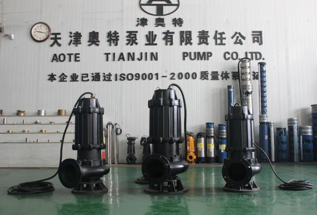 Submersible Single Stage No Leakage Propeller Pump