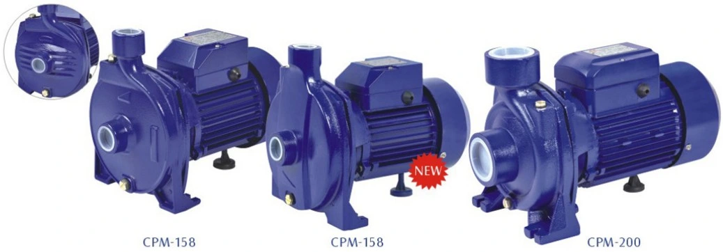 Cpm 130 Centrifugal 0.5HP Water Pump Motor Price Brass Impeller Pressure Pumps