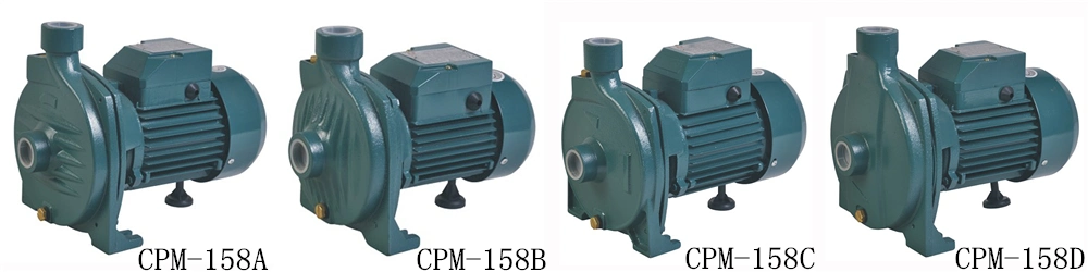 Cpm 130 Centrifugal 0.5HP Water Pump Motor Price Brass Impeller Pressure Pumps