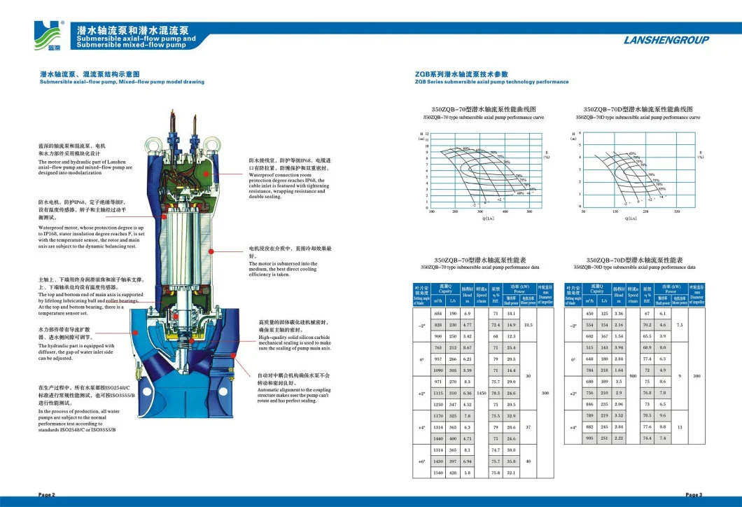 Submerged Axial-Flow Pump (700ZQB-100)