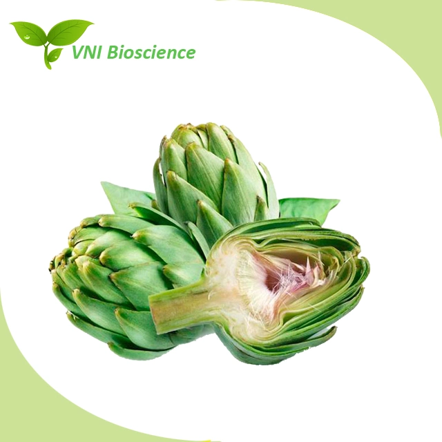 ISO Certified 100% Natural 5% 2.5% Cynarin Powder/Artichoke Extract for Food Grade