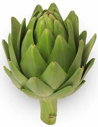 Natural Artichoke Cynara Scolymus L Extract Cynarin 0.5% 2.5% 5%