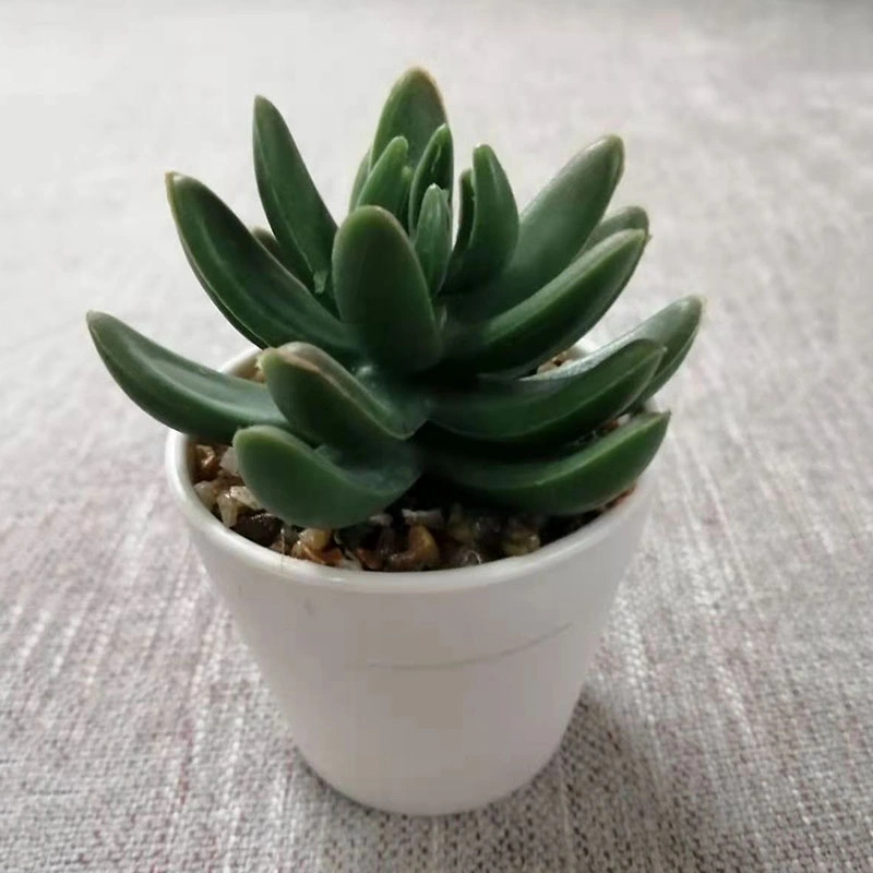 Green Artificial Succulents Plants Pots for Home Garden Decoration Wedding Plants