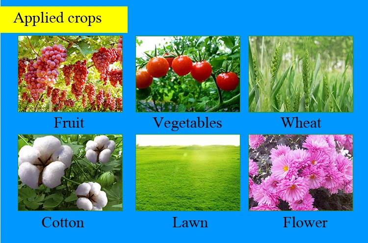 Rooting Flowering Fruit Iba 1%+Naa 1%Sp