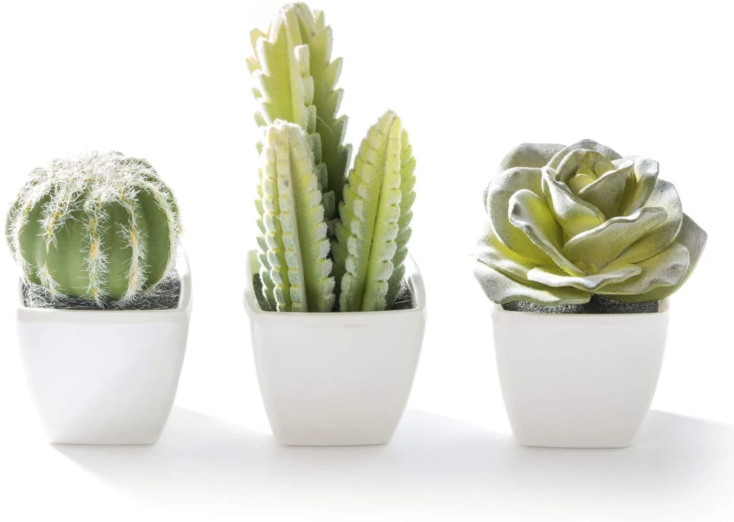 Home Decoration or Gift Artificial Plant Mini Succulent & Cactus Plants in White Cube-Shaped Pots Series