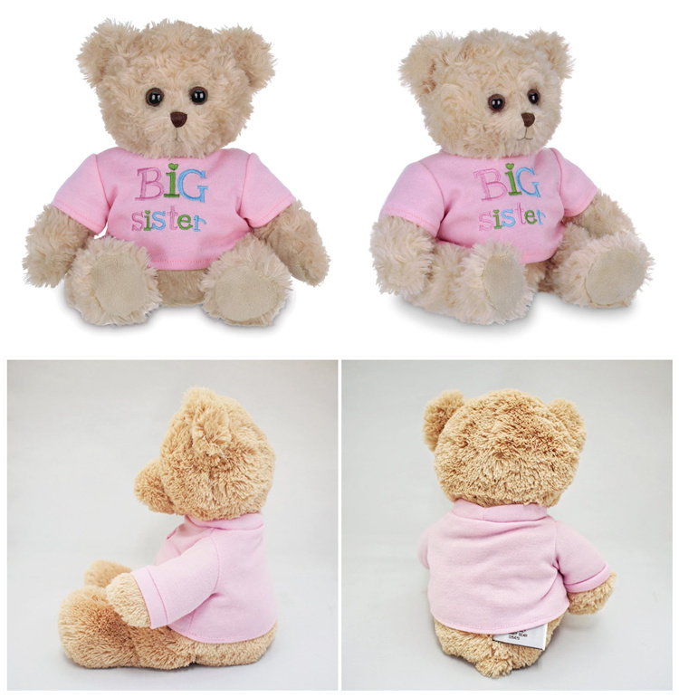 Yd Custom Teddy Bear with T-Shirt Colorful Plush Gift Toys