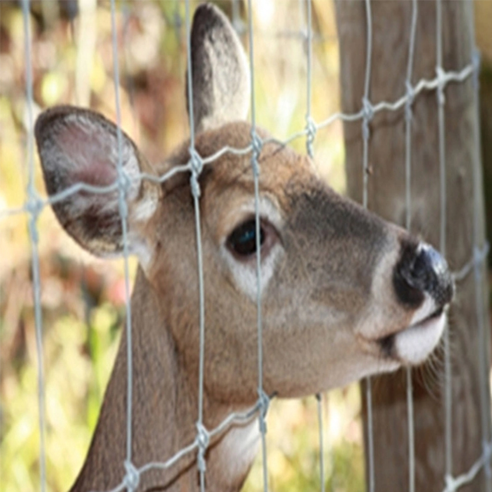 Cattle Fence/Sheep Fence/Deer Fence/Farm Field Fence for Animals Made in China