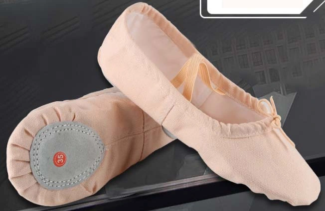 Camel Soft Dance Shoes Yoga Shoes Ballet Shoes