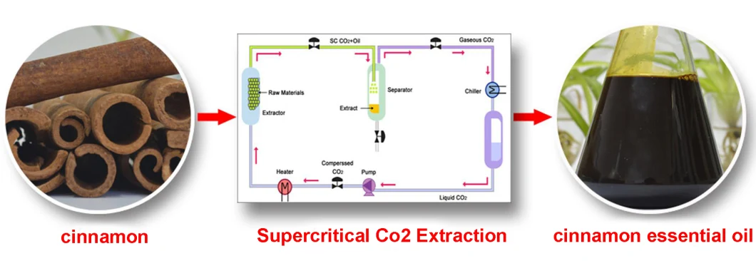 Essential Oil Distillation Equipment Thc Oil Extracting Machine Cbd Agarwood