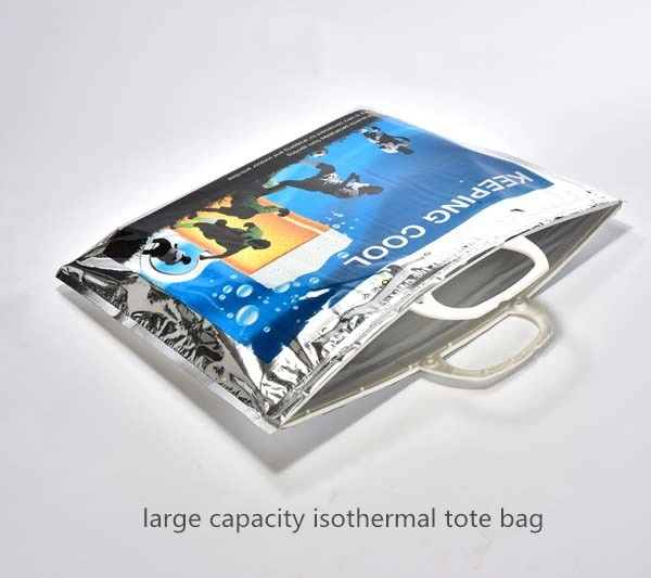 Small Full Printing Non Woven Thermal Bag Lunch Cooler Portable Insulated Bag