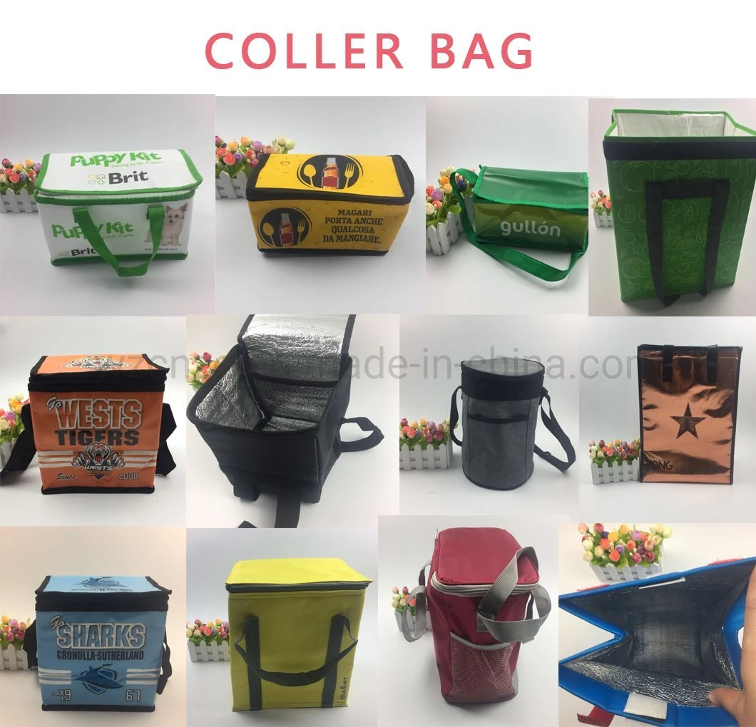 New China Products Eco Picnic Cake Carrier Thermal Lunch Cooler Bag